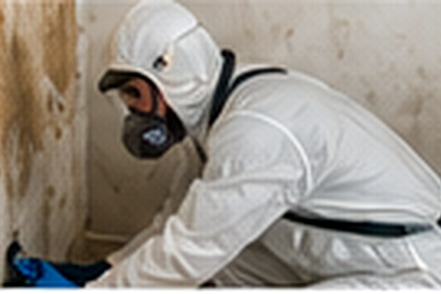 Barakat Restoration service in Northwest Florida